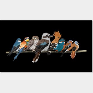 Colorful Garden Birds Bird Art Birdlover Birdwatcher Animal Posters and Art